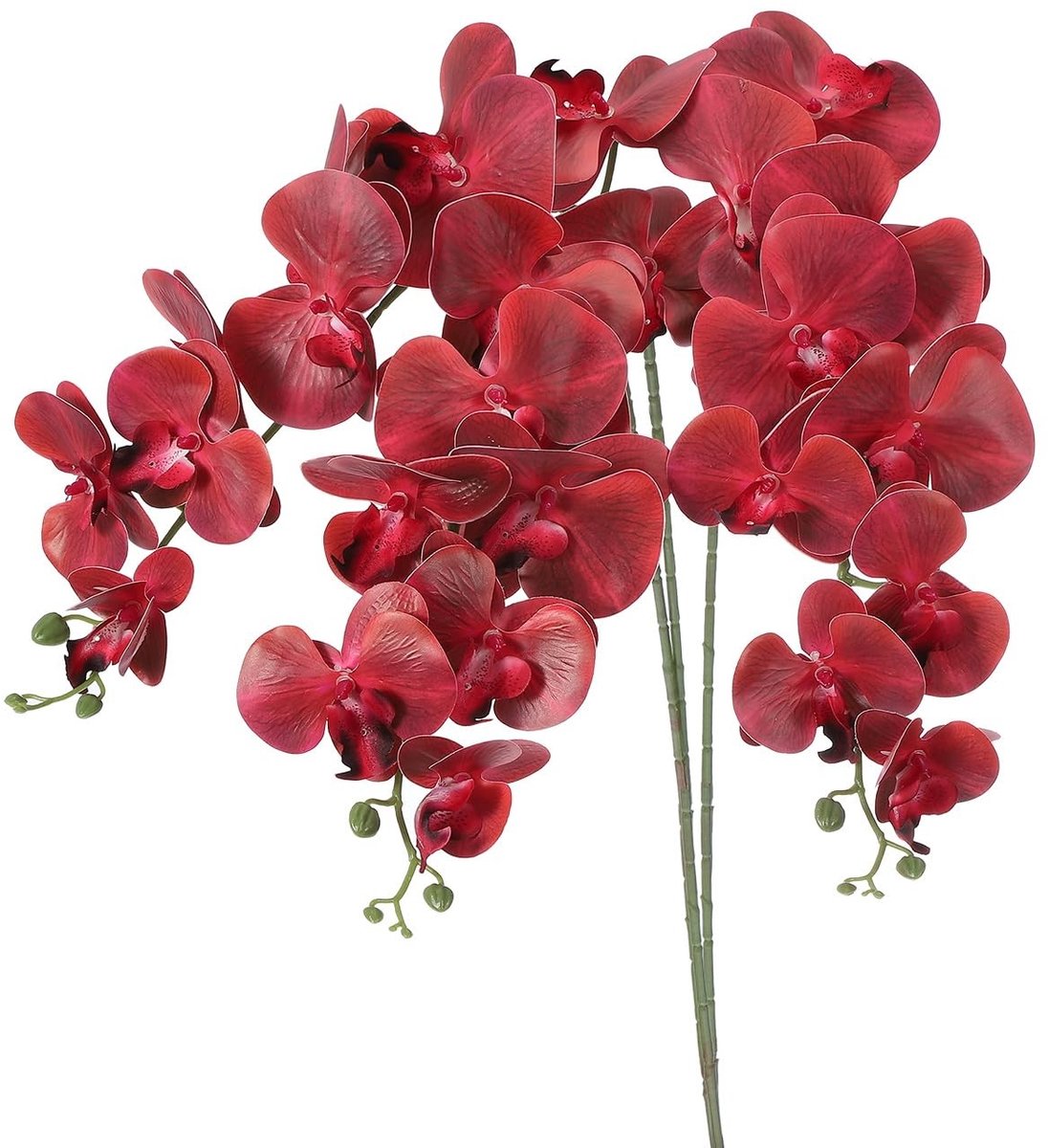 Omgoods - Faux Phalaenopsis Orchideeën Takken voor Decoratie