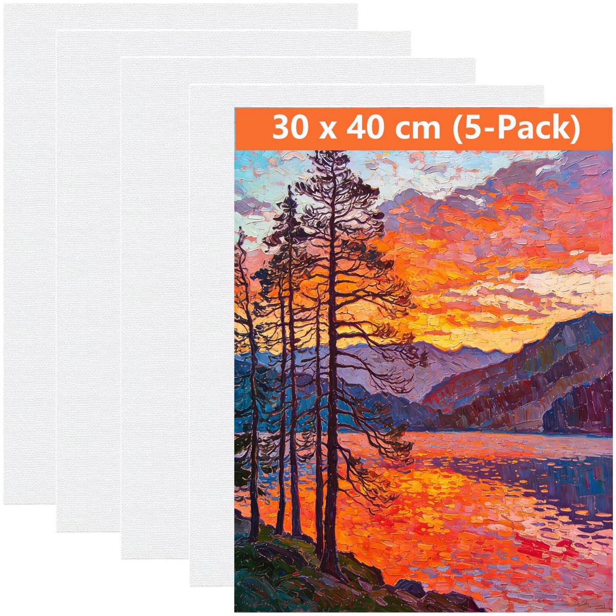 Omgoods - Set van 5 Lege Canvasdoeken 30 x 40 cm voor Schilderen