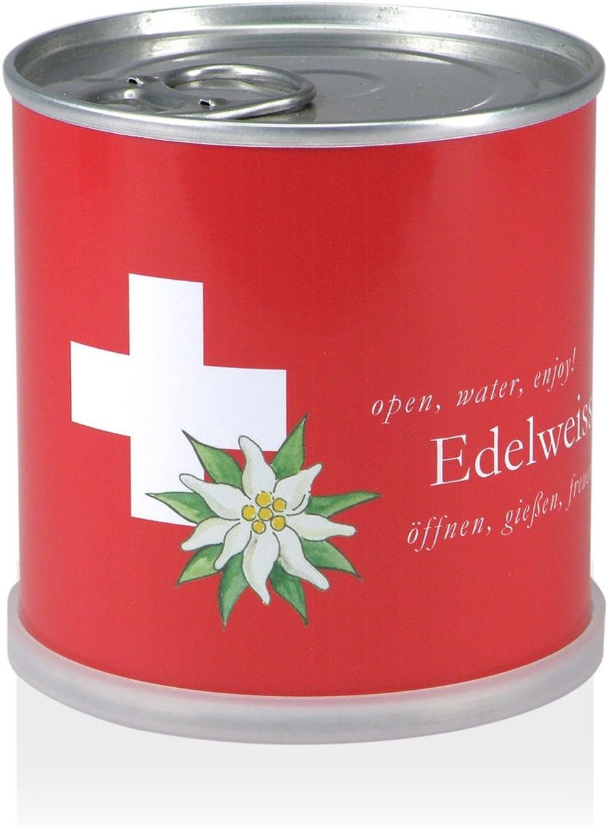 SnelShoppen - Edelweiss in een Blik - Groei Je Eigen Edelweiss Mac Bloemen - Organische Zaden met Duitse Kwaliteit - 8 cm Hoog, 7 cm Diameter - Perfec