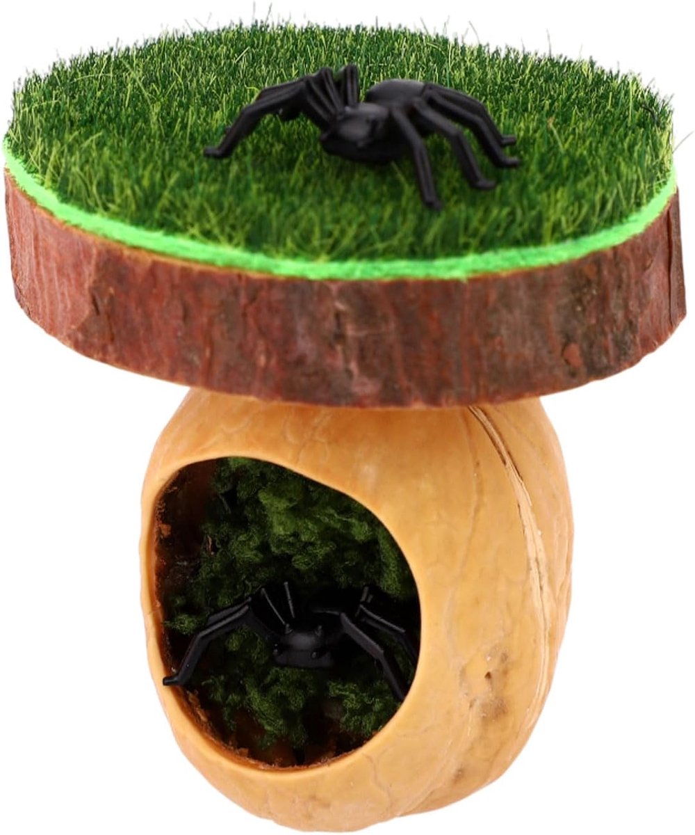 Klimplatform voor Springende Spinnen, Houten Constructie met Schuilplaats en Mos voor Terrariumhabitat Ideaal Kleine Insecten en Spinnenverblijven