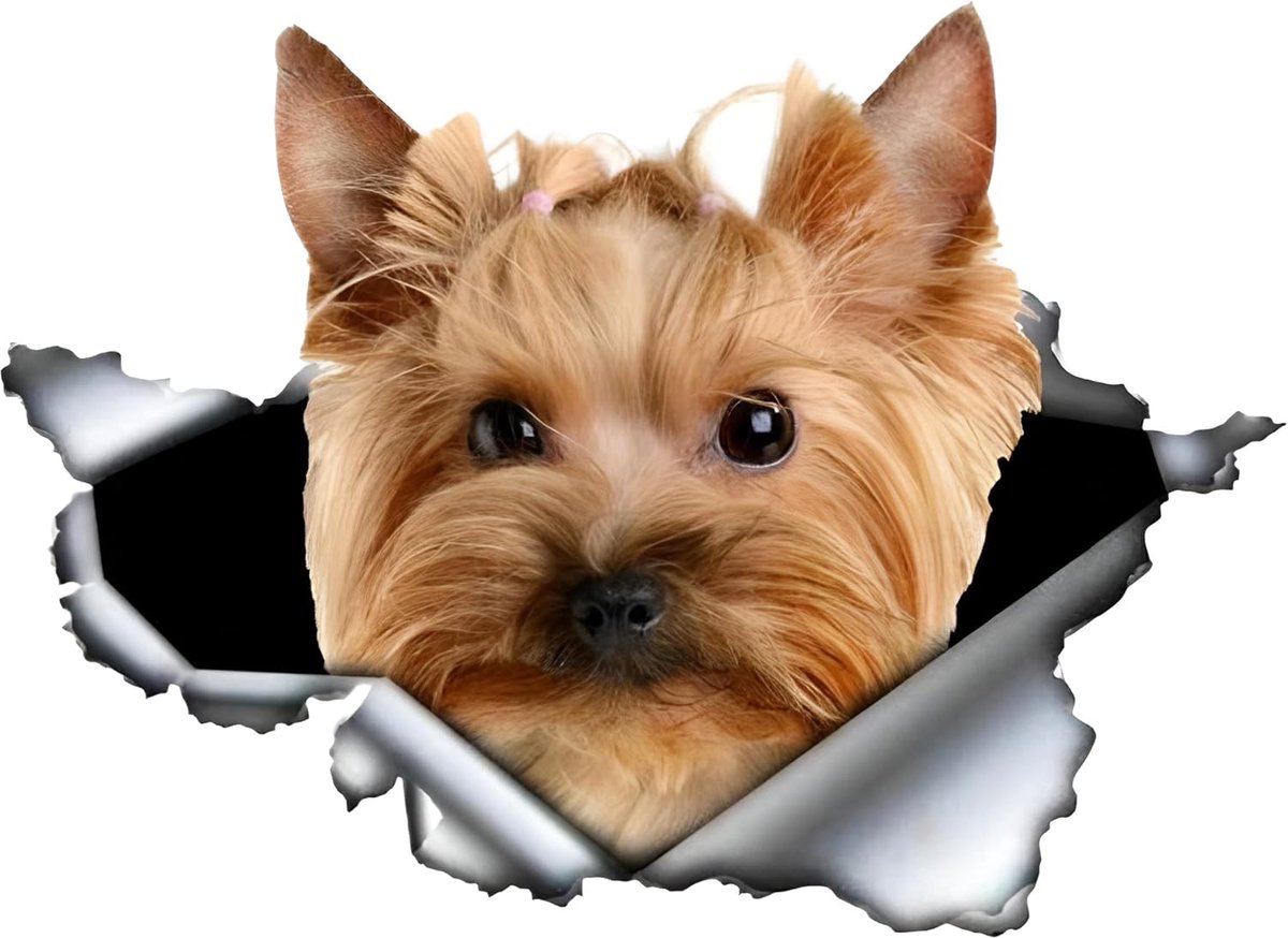 25 cm Yorkshire Terrier sticker grappige Yorkshire Terrier autosticker huisdier hond waterdichte sticker 3D gescheurd metaal reflecterende stickers decoratieve