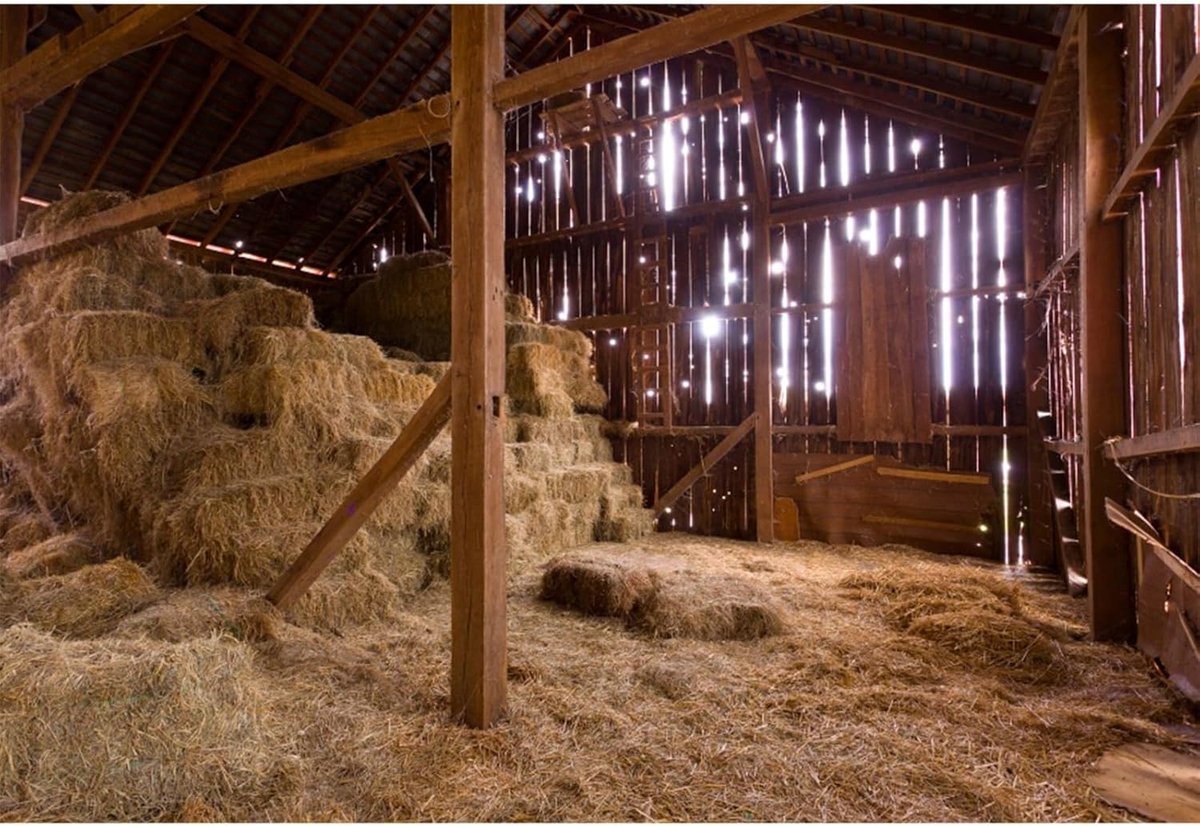2,1 x 1,5 m fotografie achtergrond oude schuur met stro balen boerderij platteland foto achtergrond achtergronden voor fotografie fotoshoots partij volwassenen bruiloft persoonlijk portret