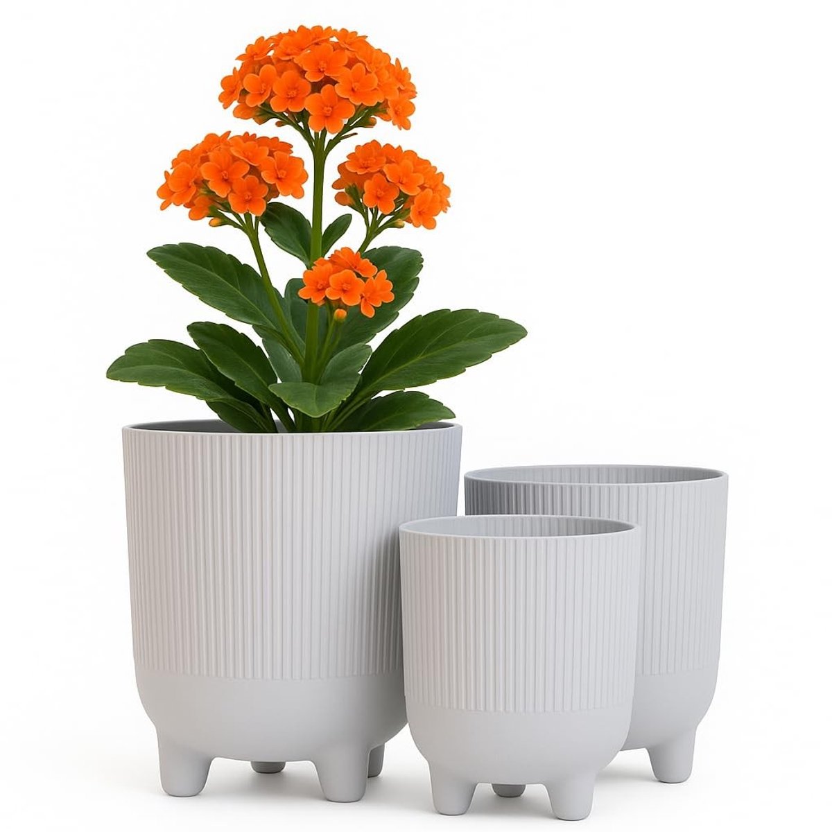Omgoods - Set van 3 Striped Plant Pot met Poten voor Binnen