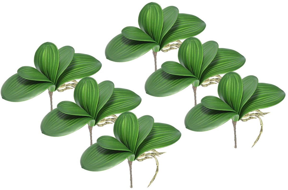 Omgoods - Kunstzijden Orchidee Bladeren Set van 6 voor Decoratieve Bloemstukken