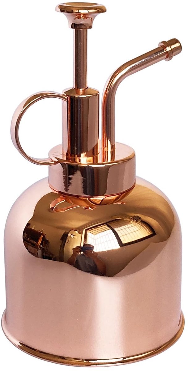Omgoods - Plantensproeier - Kleine Waterkan voor Binnen & Buiten - Roze Goud