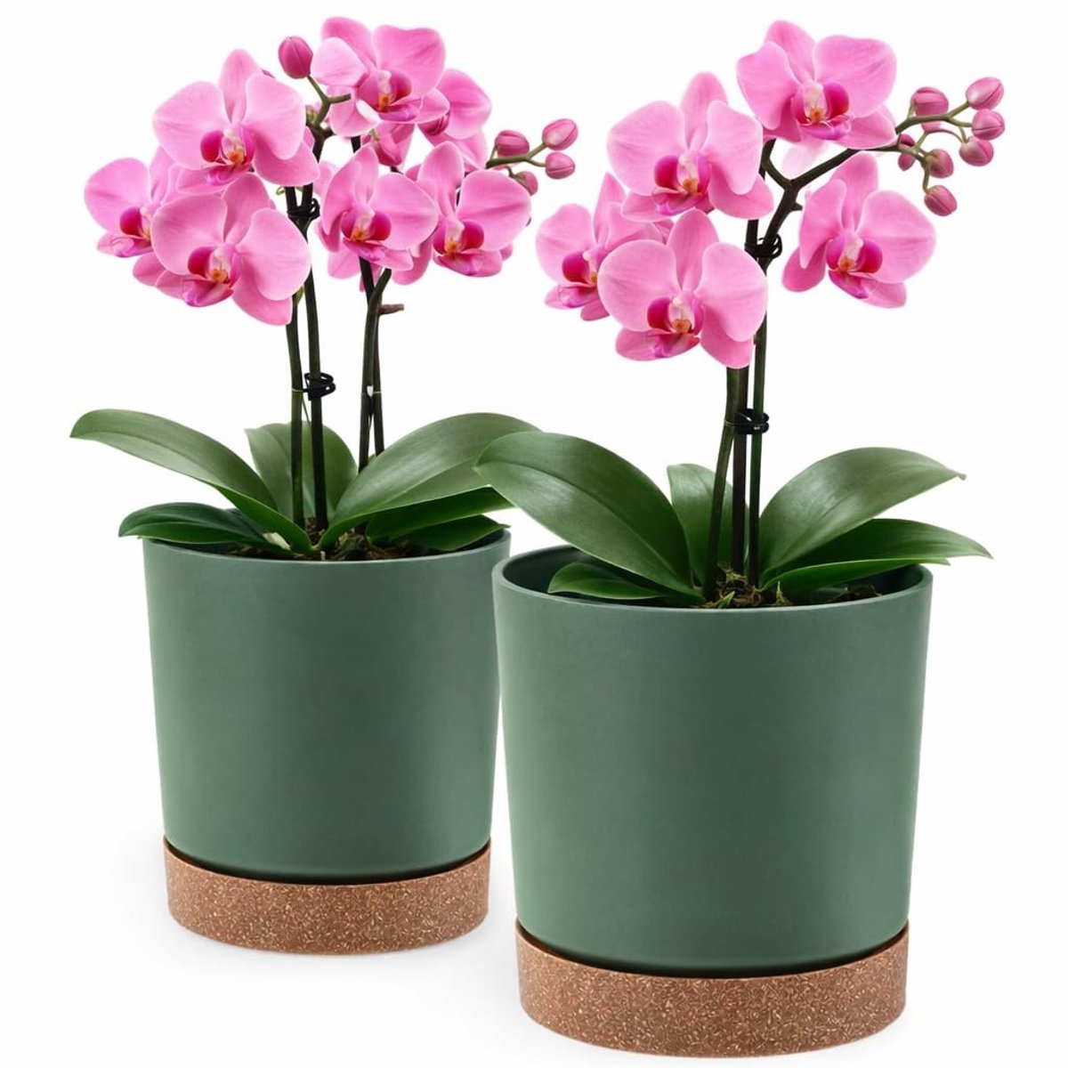 Omgoods - Set van 2 Decoratieve Plantenpotten Ø 13 cm