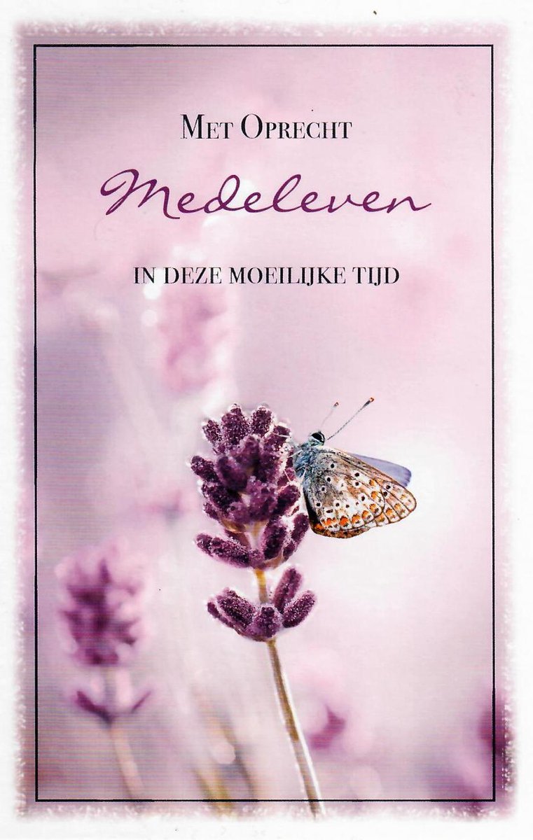 Wenskaart | 6 stuks | ADIOS wenskaart Met oprecht medeleven in deze moeilijke tijd