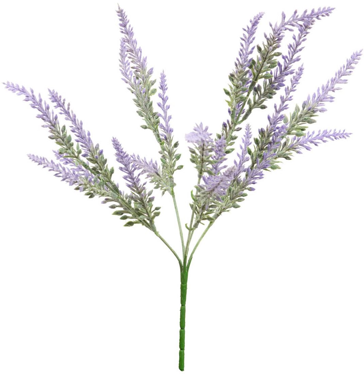 Boeket lavendel PROV