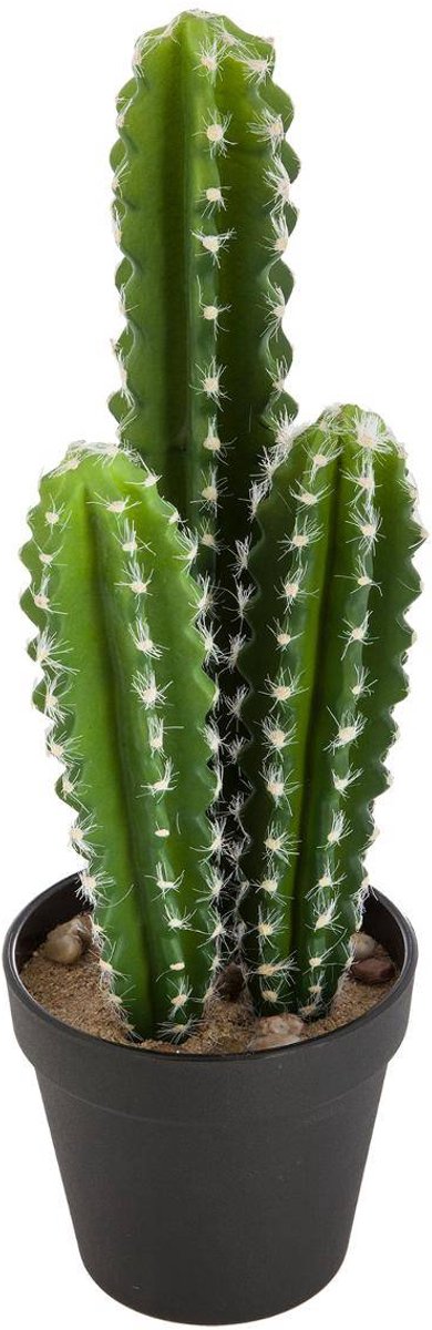Kunstcactus LOFT