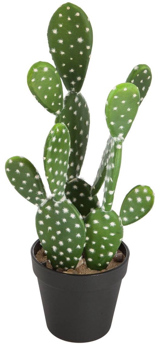 Kunstcactus LOFT