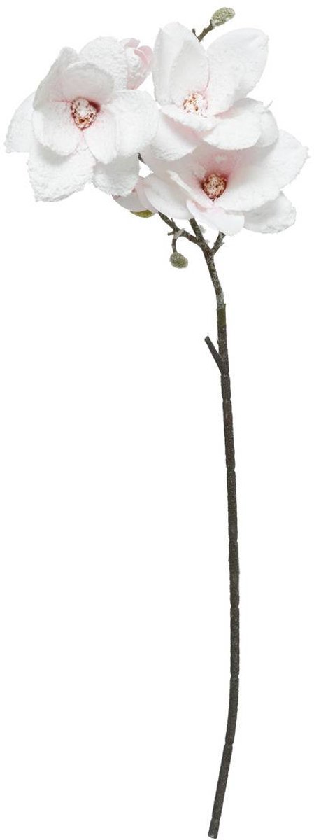 Branche Magnolia rose H88cm