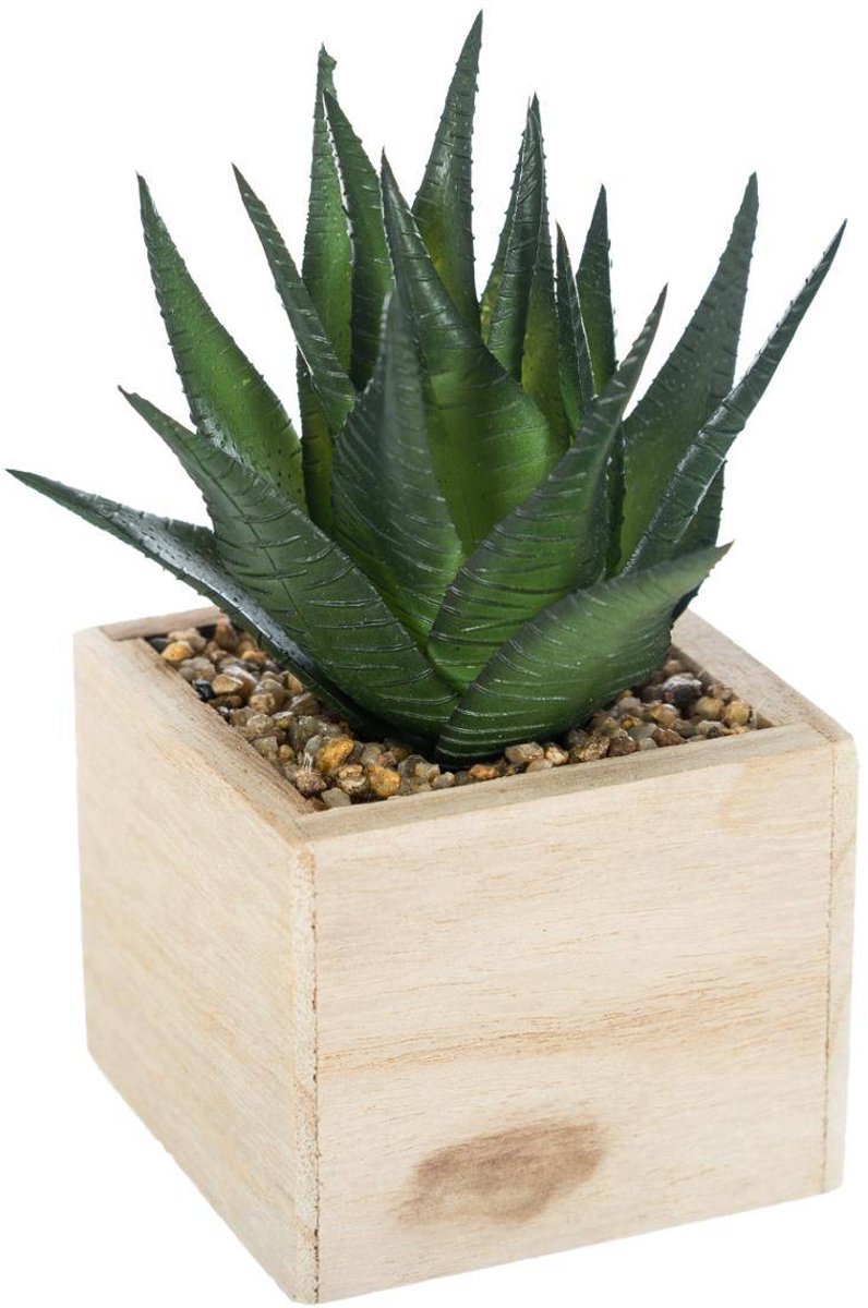 Kunstplant HACI