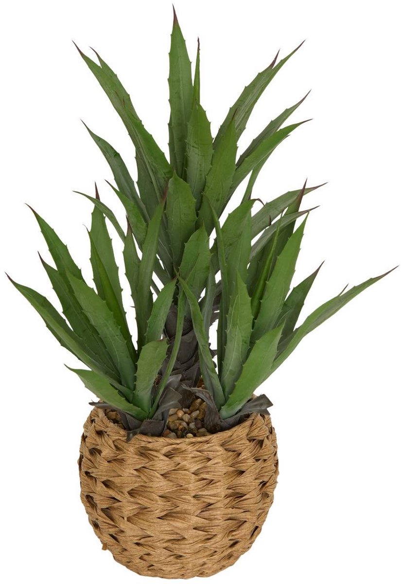 Agave artificiel Moda H.61cm vert