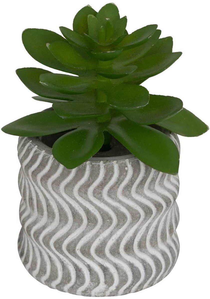 Kunstplant UBI