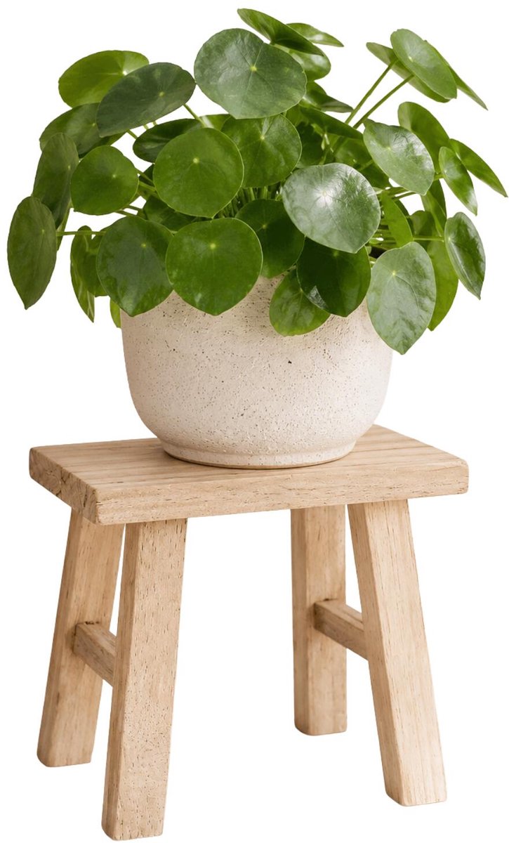 DK Design plantverhoger - teak hout - 31 x 19 x 25 cm - planten standaard