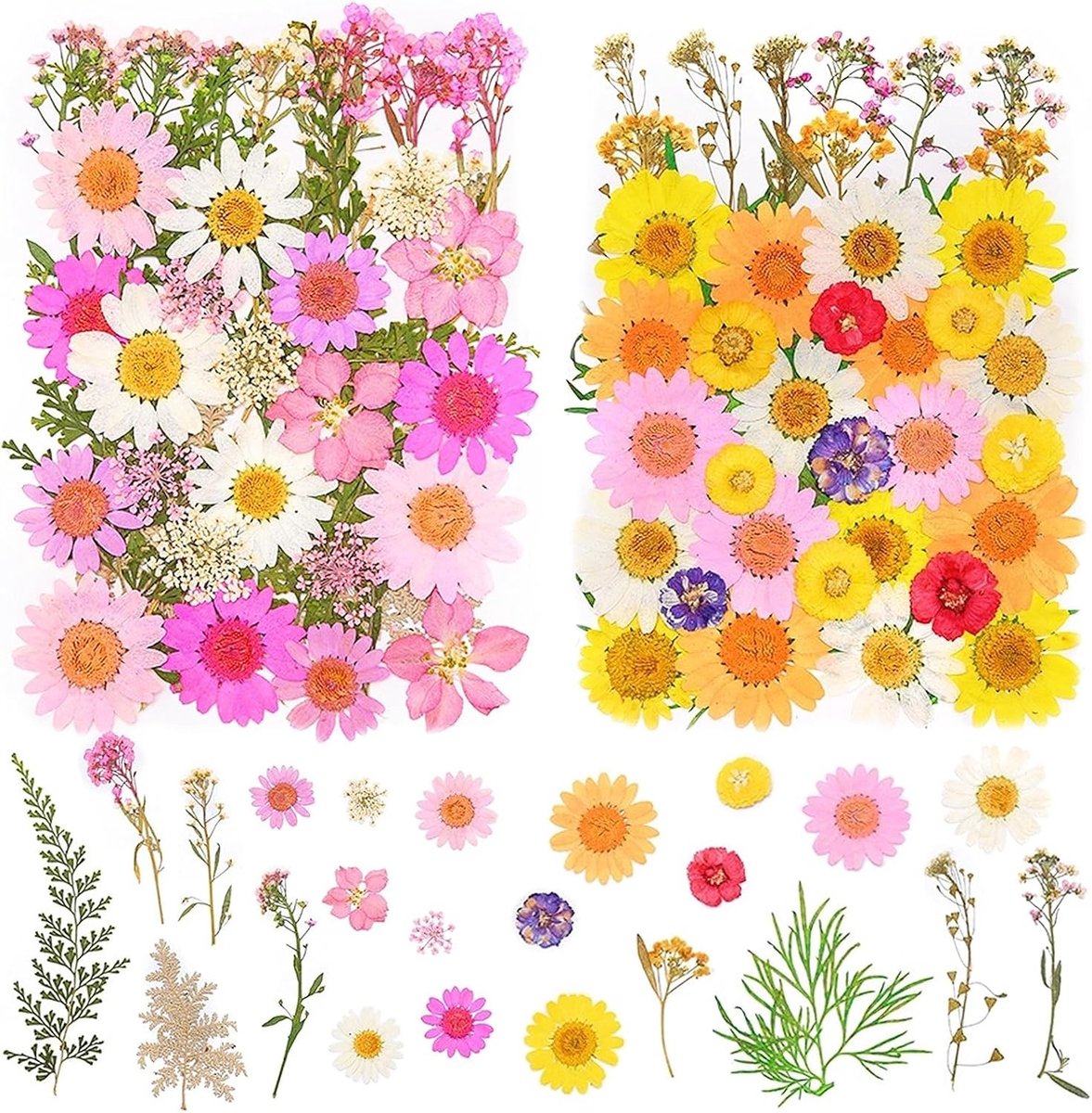 SnelShoppen - 81pcs Drogen Geperste Bloemen - Natuurlijke Gedroogde Bloemen voor DIY Creaties - Perfect voor Kaarsen, Hars, Hangers, Scrapbooking en D