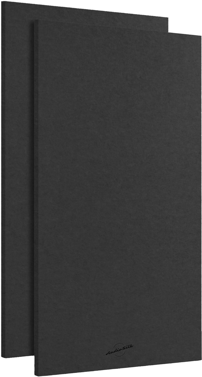 AudioSilk Akoestische Panelen, 2-Pack, Groot, 116 x 58 cm, Zvart - ShopVlot