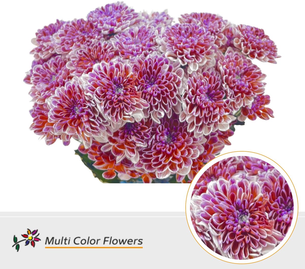 10x Chrysant overig 60cm