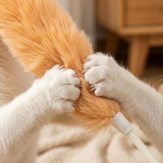 Kattenhengel - Multikleur - 38 cm - Met Kleurrijke Veren - Voor Katten — afbeelding 5