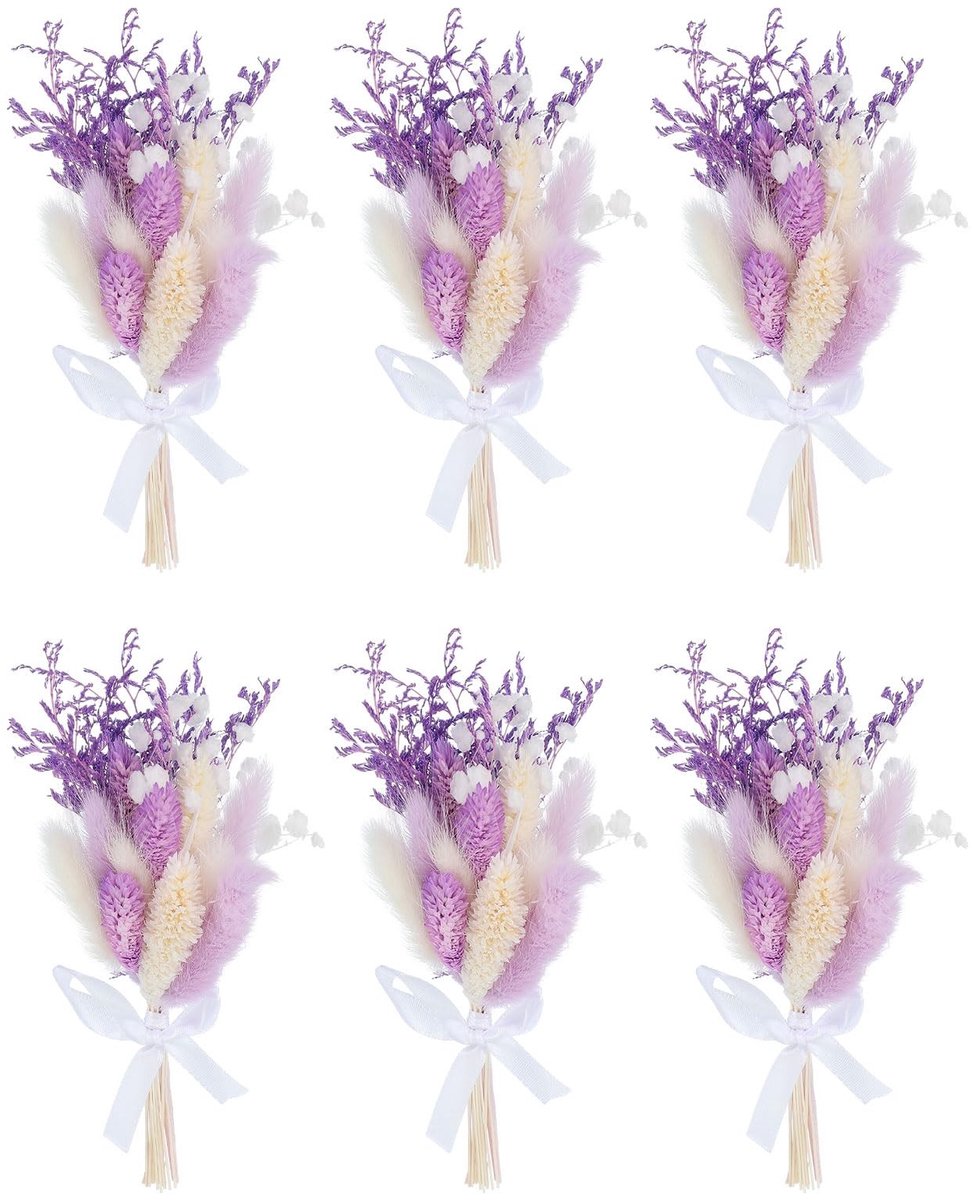 Elzusha - Mini Droogbloemen Boeket, 6 Stuks voor Decoratie