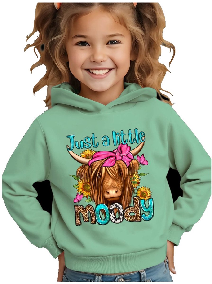 Currero Hoodie Meisjes Warme Hoodie Met Capuchon Comfortabele Sweater Meisje Casual Trui Pullover Meisjestrui 3-4 Jaar Groen