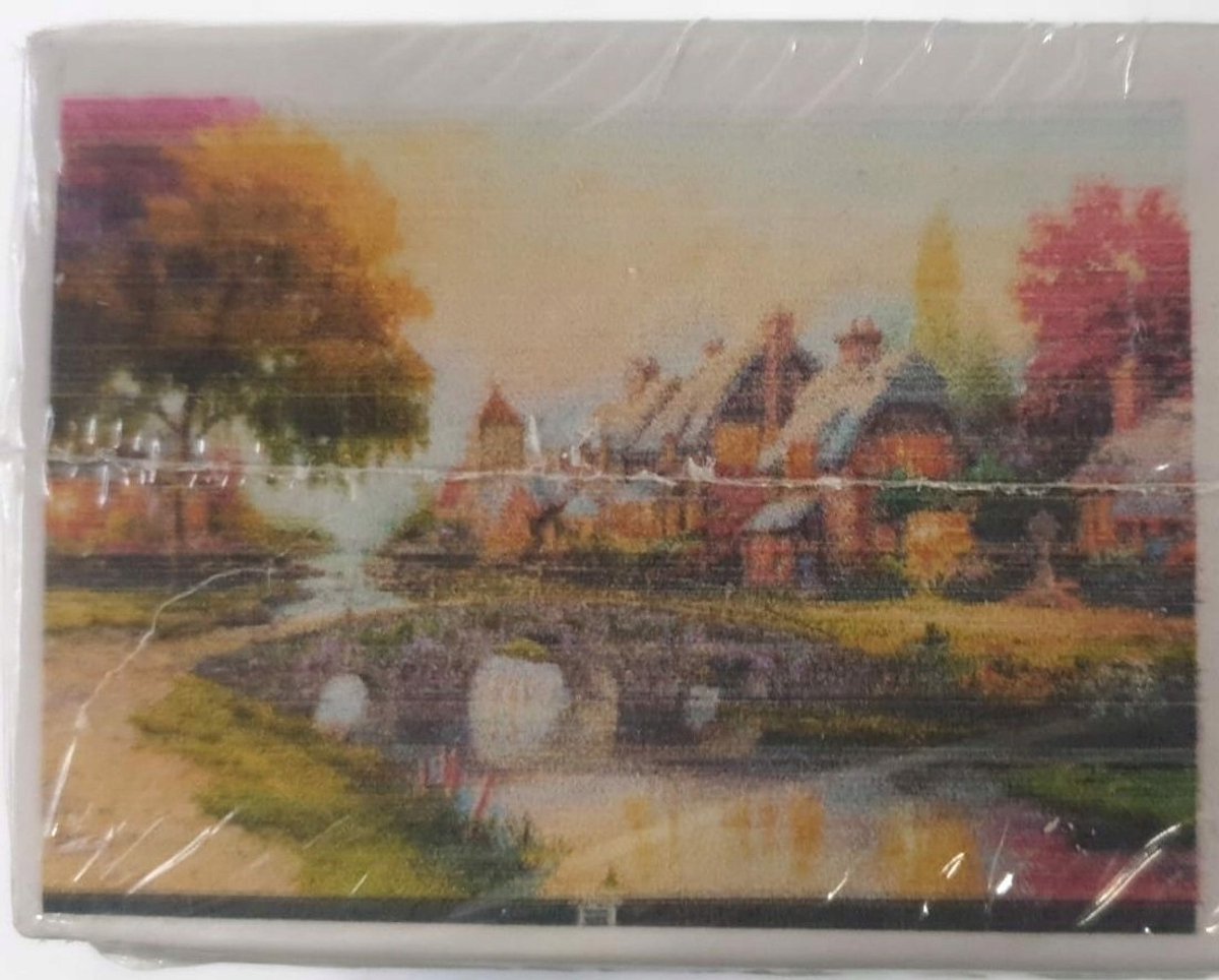 1000-delige Puzzel Dorp 75x50cm - Voor 14+