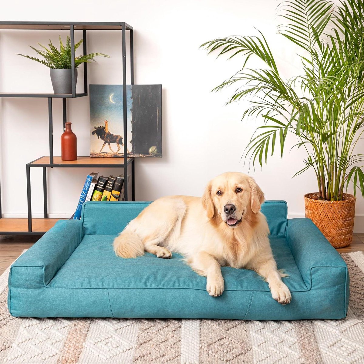 Huisdierenmatras - Hondenbed Kattenmat - Comfortabel Rusten - Waterafstotend Materiaal - 78 x 53 cm - Blauw