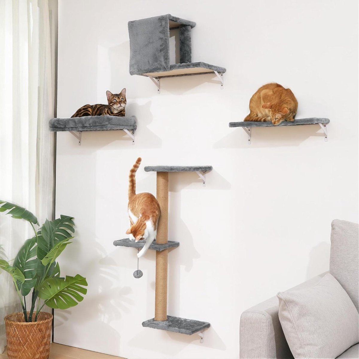 Katten Wandmeubelset - Klimmuur - Spelen en slapen - Alles-in-één ontwerp - 41 cm gipsplaat - Beige