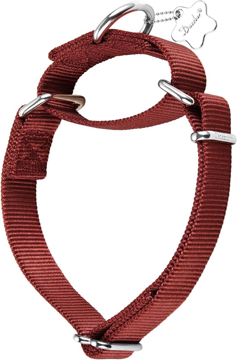SnelShoppen - Martingale Hondenhalsband - Stevige Nylon Anti-Ontsnap Kraag voor Middelgrote en Grote Honden - Wandelen, Training, Dagelijks Gebruik (M