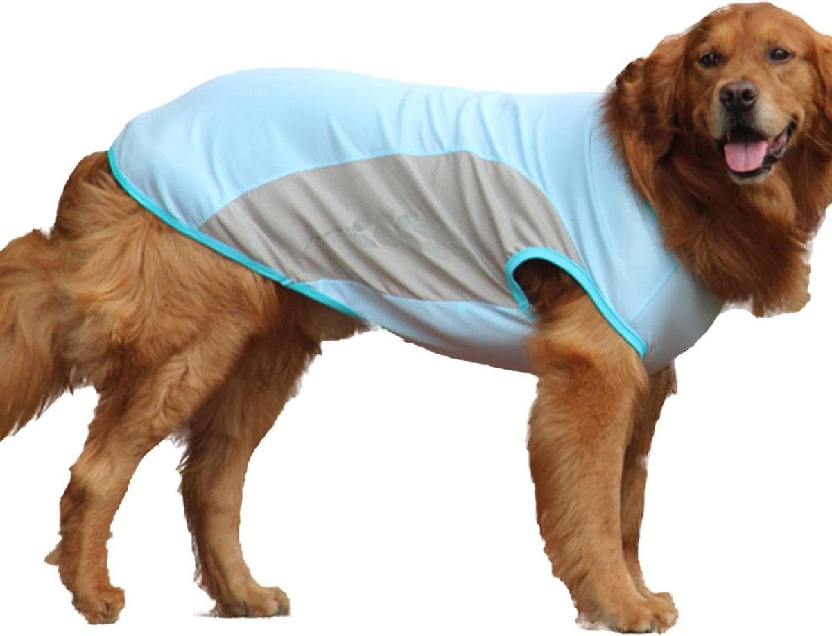 Verkoelend Hondenvest - Zomer T-shirt - Hitte Verminderen - Reflecterend Ontwerp - Maat XXL - Blauw