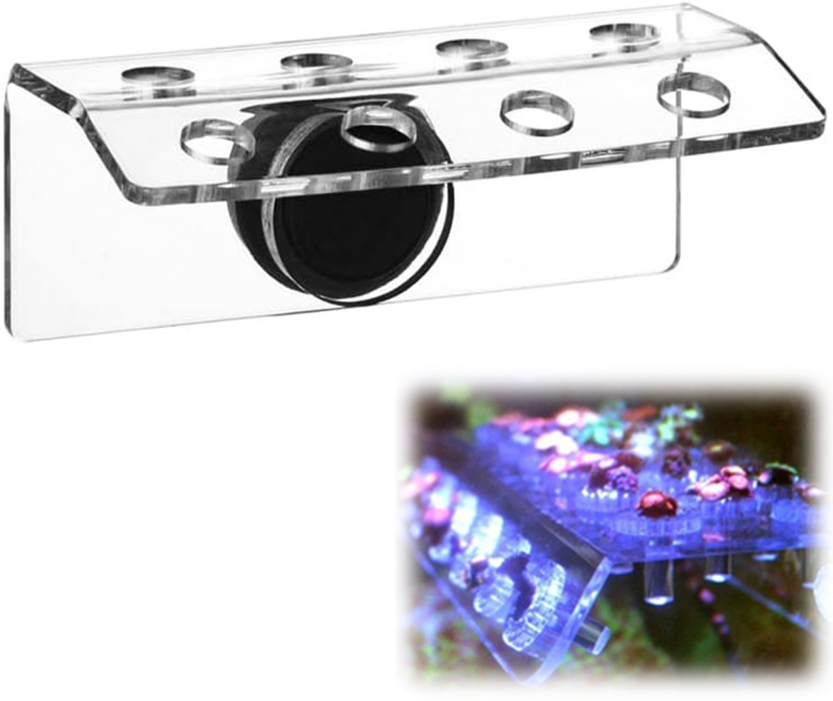 VHV - Koraalhouder - Magnetisch koraalrek - Acryl frag rack met 30° hoek - Koraalplughouder voor aquarium, zeeaquarium en rifbak - 14*7.5*5.5cm - Transparant