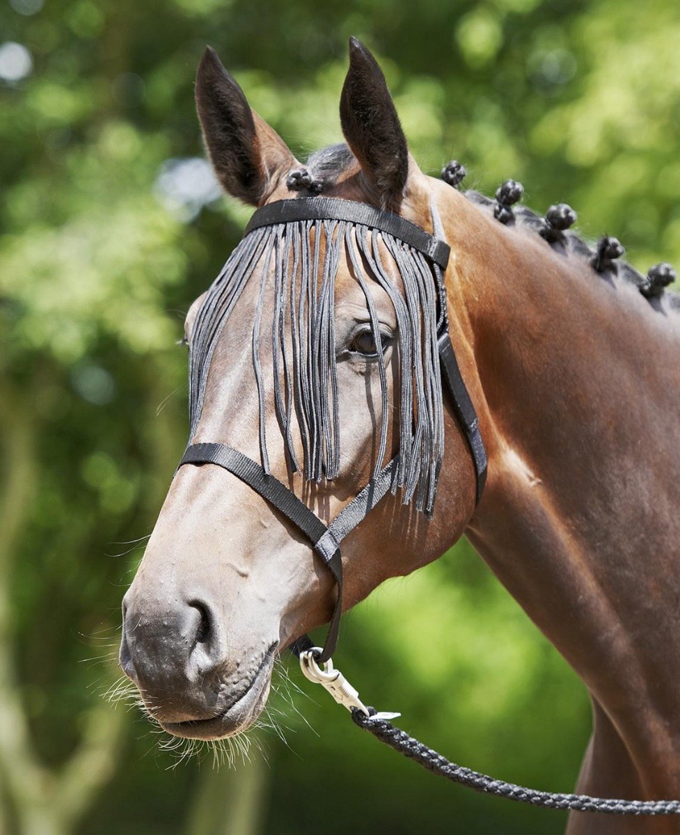 Busse weidehalster fransen - Zwart - Cob
