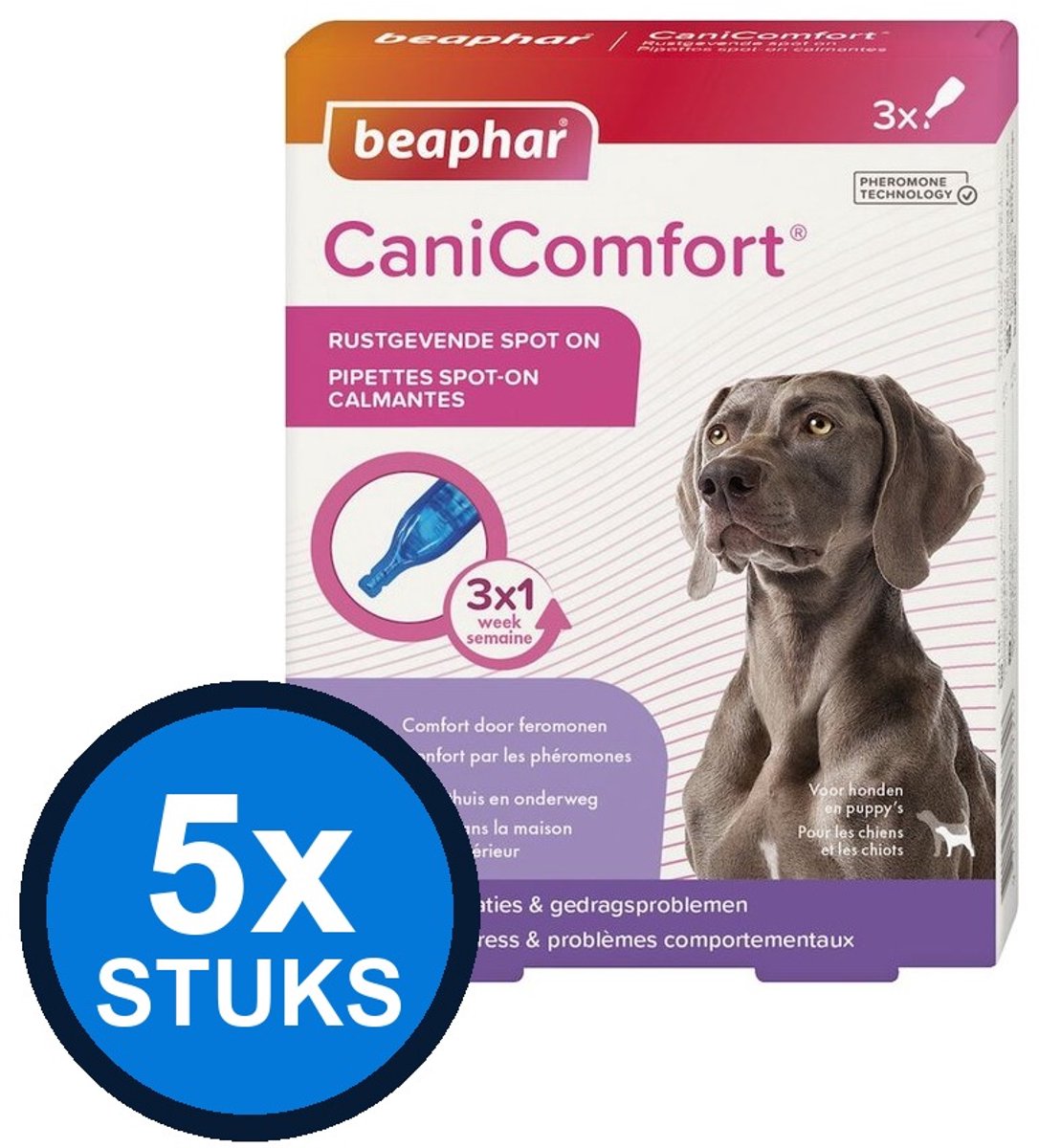 Perfect Fit Indoor Adult 1+ Brokjes - Kip - Kattenvoer - 2 x 750g