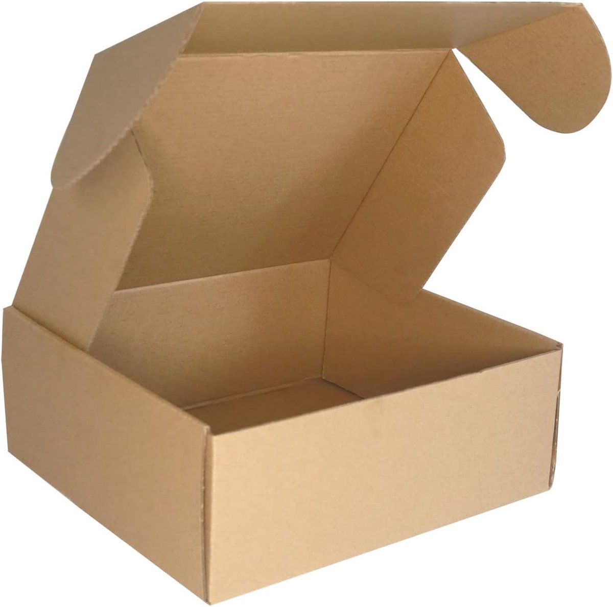 SnelShoppen - 250x200x100mm Kartonnen Verzenddozen - 10 Stuks - Eco-vriendelijk - Voor Post, Verpakking, Cadeaus - Bruin - Perfect voor Kleine Bedrijv