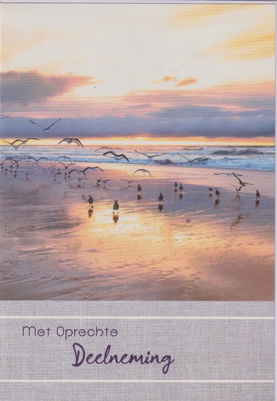 Wenskaart met zonsondergang op het strand met een groep meeuwen en de tekst 'Met Oprechte Deelneming'.