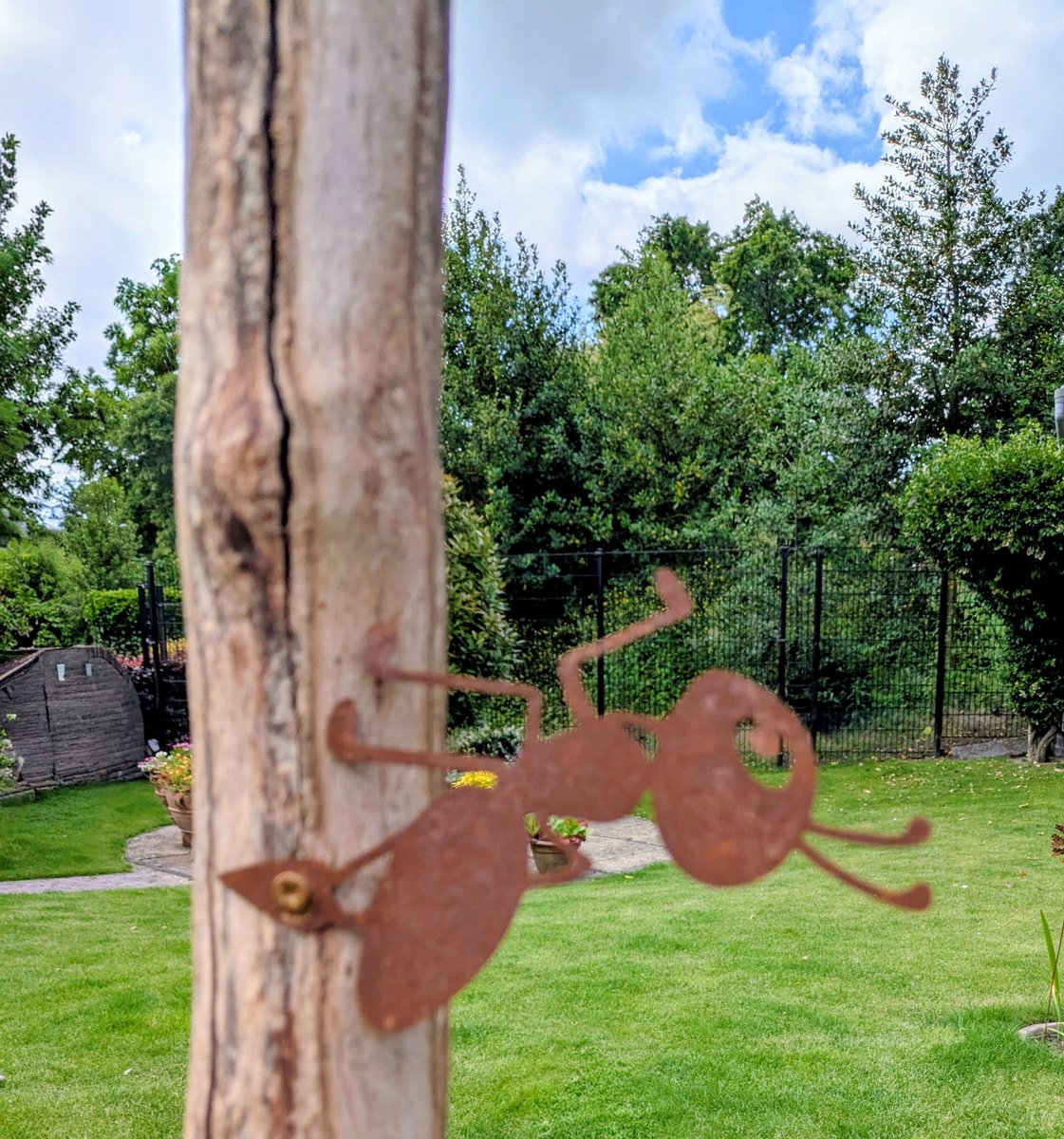 Ornament voor binnen of buiten in de tuin; set van 3 mieren