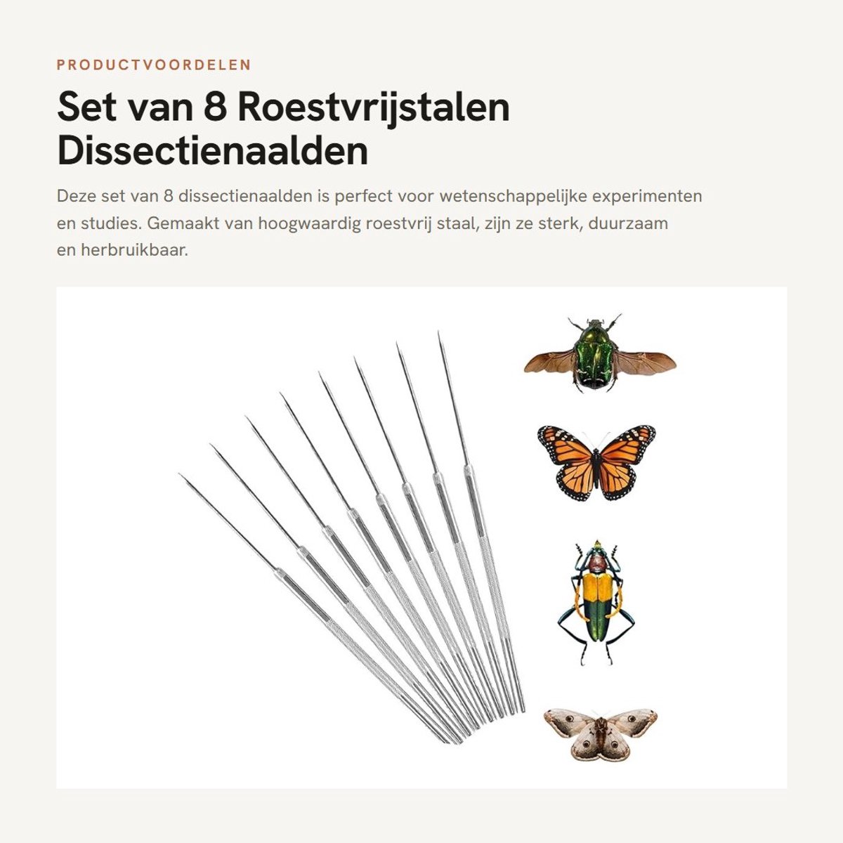 Dailygoods- Dissectienaald 8 Stuks - Roestvrij Staal - Rechte Punt - Sterk en Slijtvast - Voor Insectenexperimenten - 137 mm - Prepareernaald