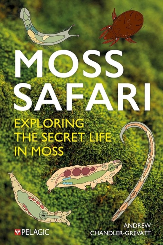 Moss Safari - cover