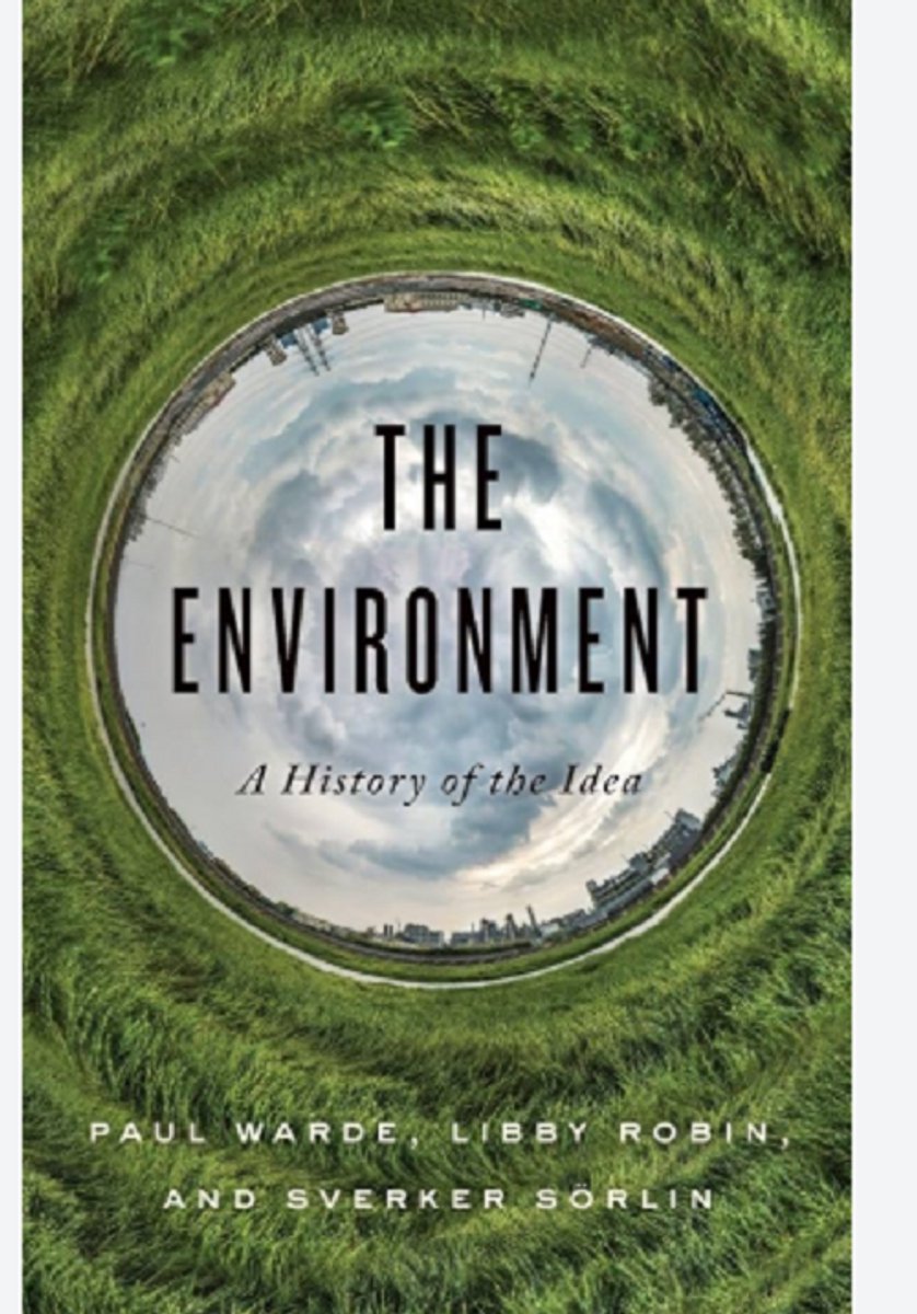 The Environment