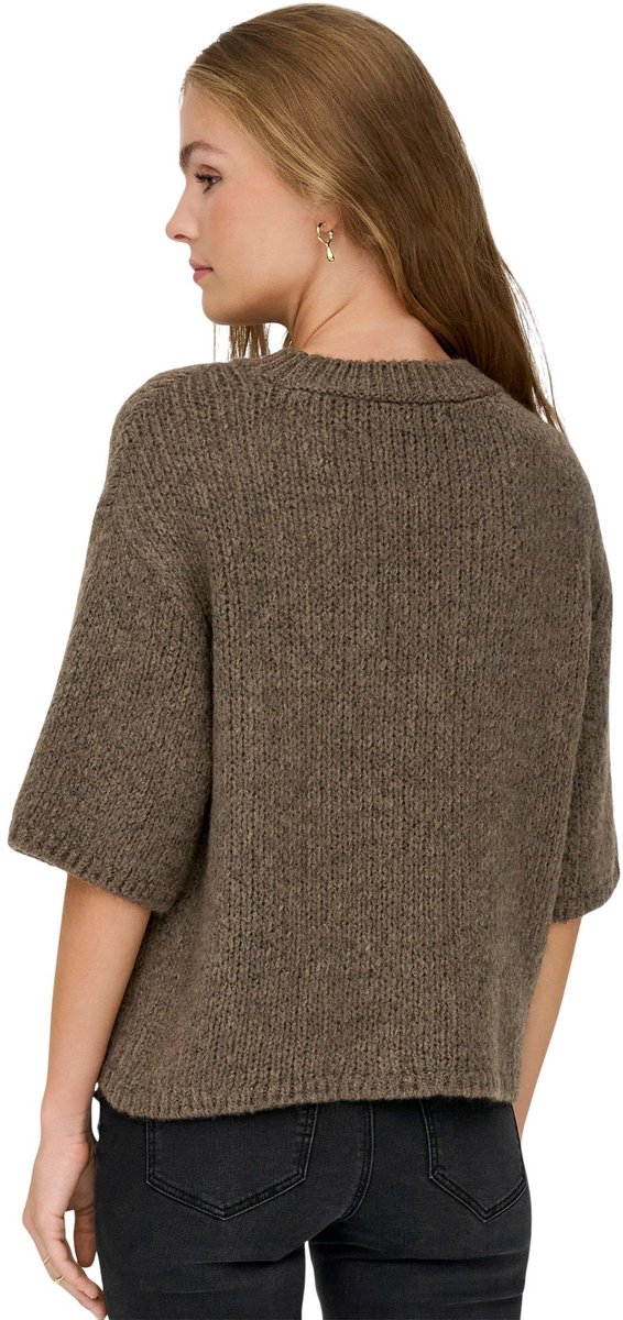 JDY - JDYDICTE S/S PULL O-NECK KNT NOOS Dames Trui — cadeau in Cadeau-ideeën - foto 5