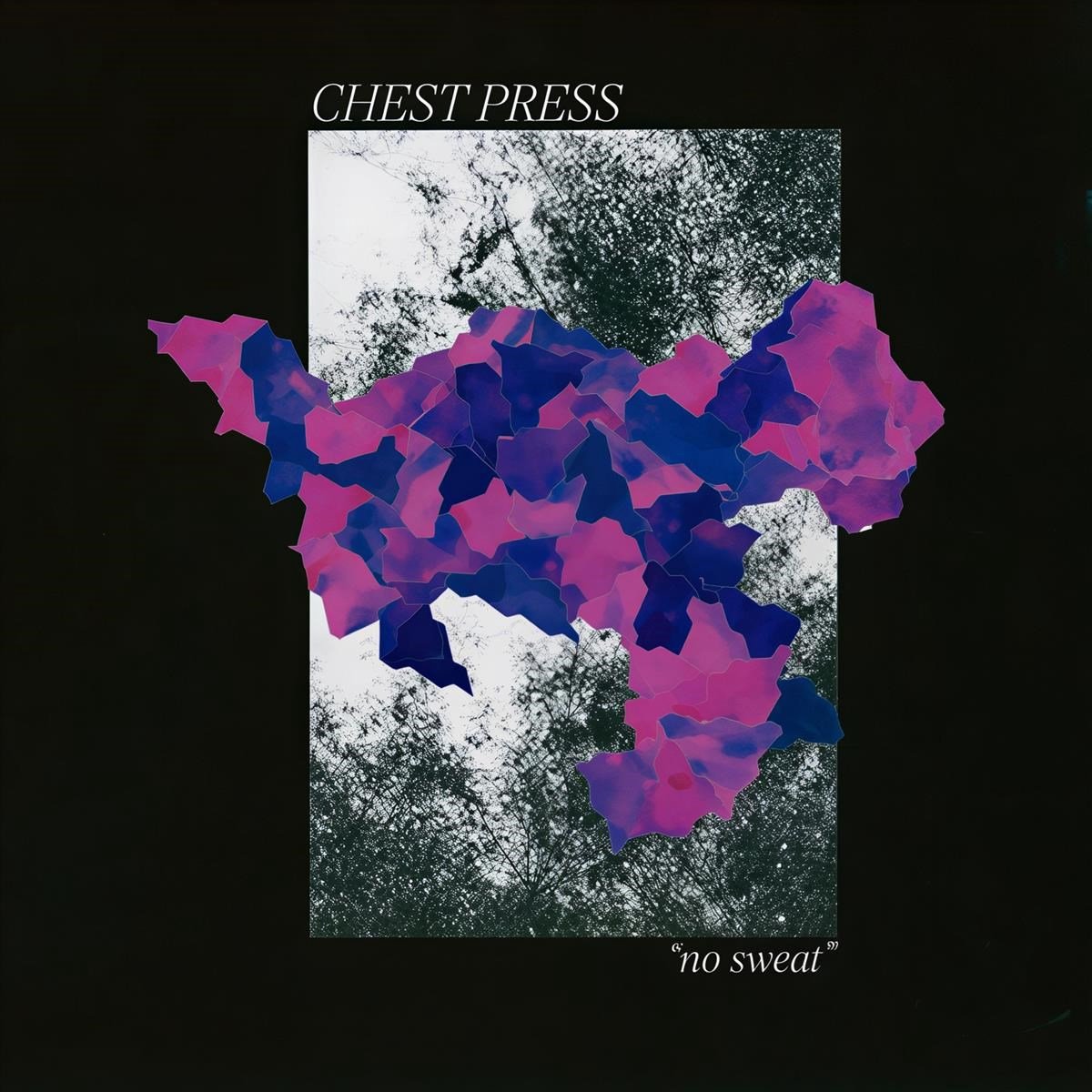 Chest Press - Vol. 2 No Sweat (MC)