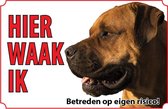 Bord - Hond-Africaanse-mastiff