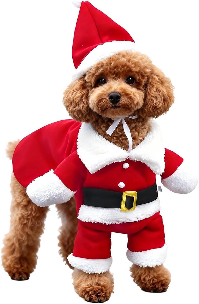 Kerstkostuum voor Huisdieren met Santa Claus Outfit en Hoed, Feestelijke Cosplay Kleding voor Katten en Honden, Warme Winteraccessoires voor Dieren