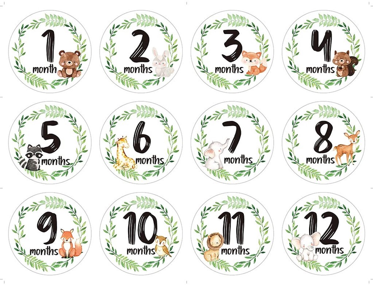 Dailygoods- Mijlpaalstickers 12 Stks/set - Babymaandstickers - Ronde Stickers - Hoge Kwaliteit - Water- en Veegvast - Perfecte Foto-rekwisieten - Baby Stickers
