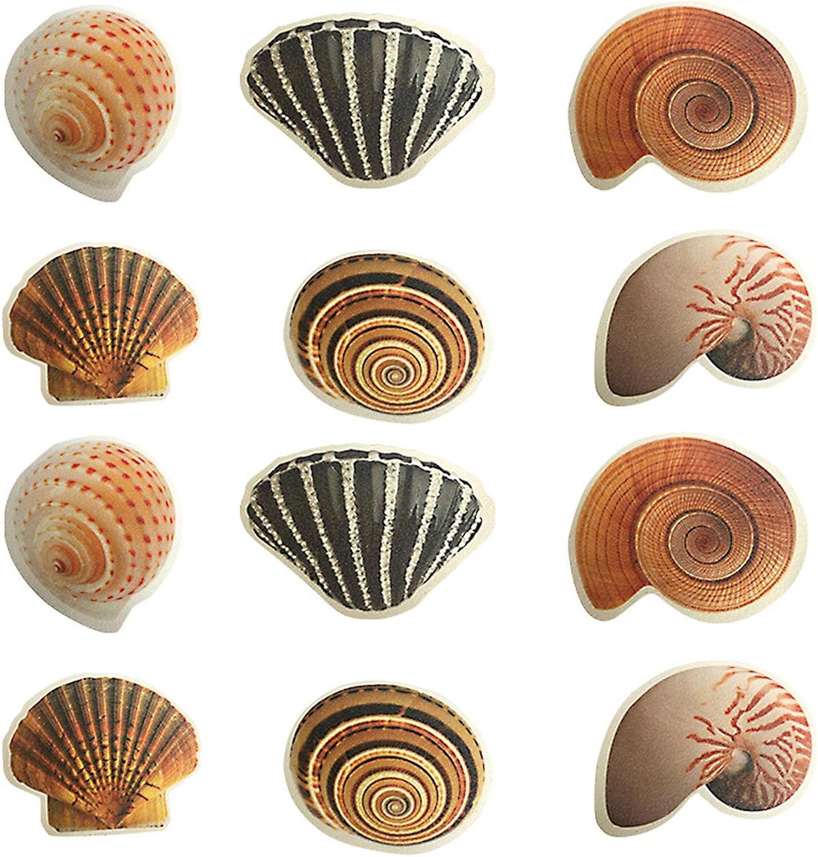 Antislip stickers - Bad stickers - Veilig douchen - Verhoogt wrijving - 12 stuks - Zeevruchten designs