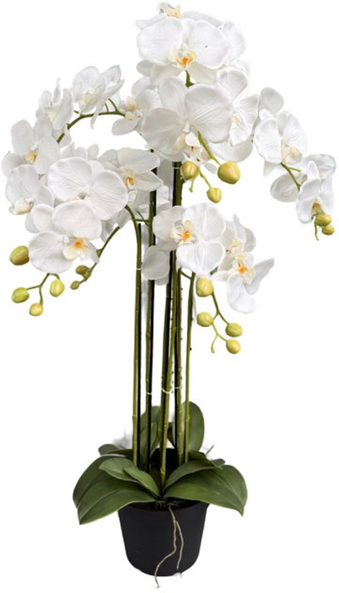 Orchidee wit in pot H 85 cm kunstplant Oosterik Home