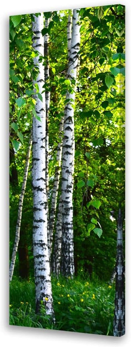 Canvasafbeelding Natuur - Wanddecoratie Bos - Ruimte Verfraaien - Verticaal Raam Effect - 40x100 cm - Groen