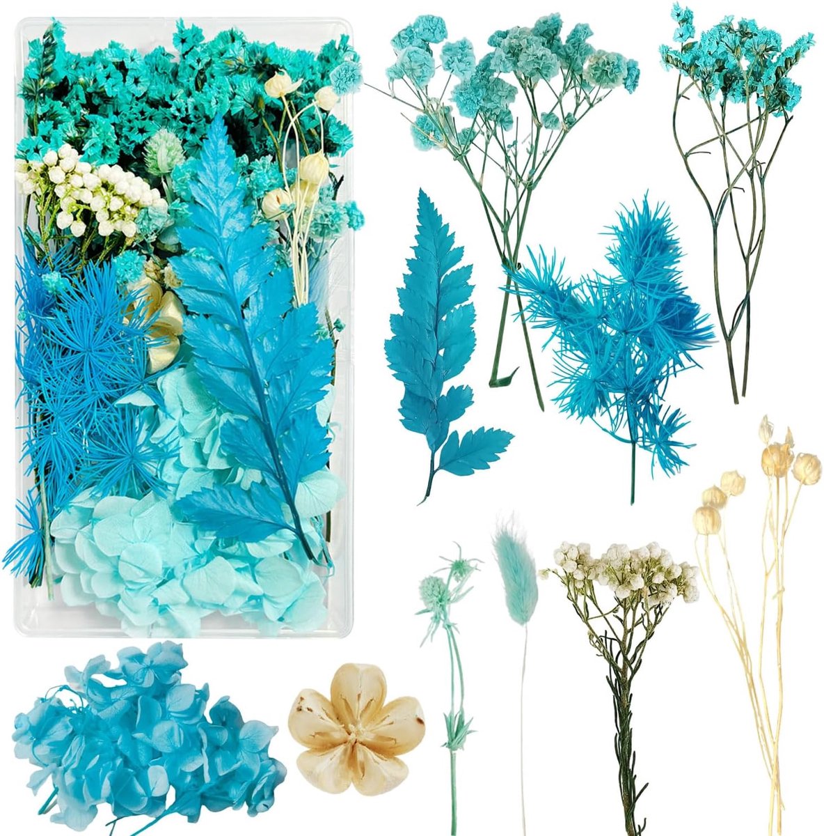 Dailygoods- Droogbloemen Set - Kleine Gedroogde Bloemen - Kleurrijk - Decoratie - DIY Fotolijst - Natuurlijke Bloemen in Doos