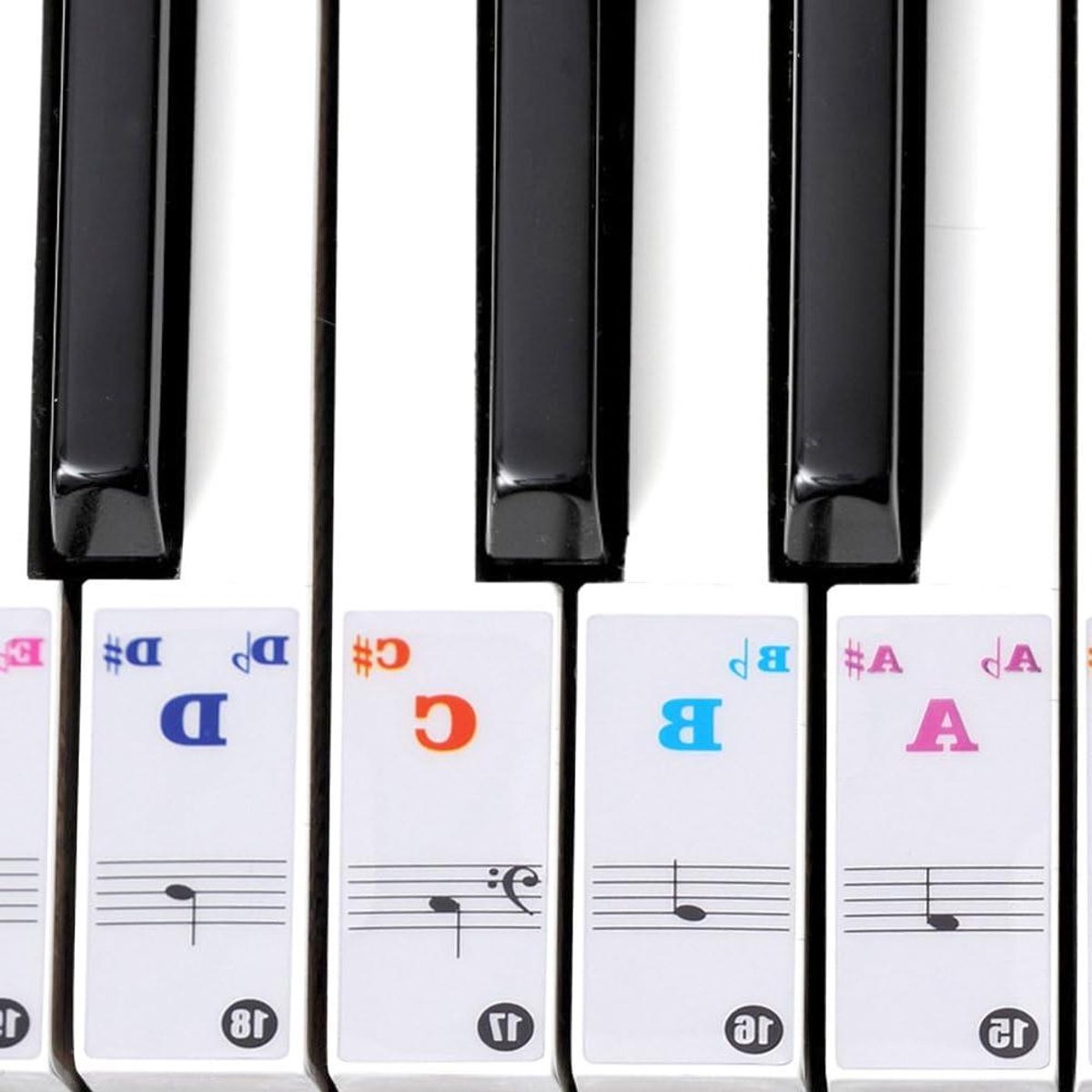 Piano Stickers - Toetsenbord Noten - Muziek Leren - Transparant PVC - 61/88 Toetsen - Gekleurd