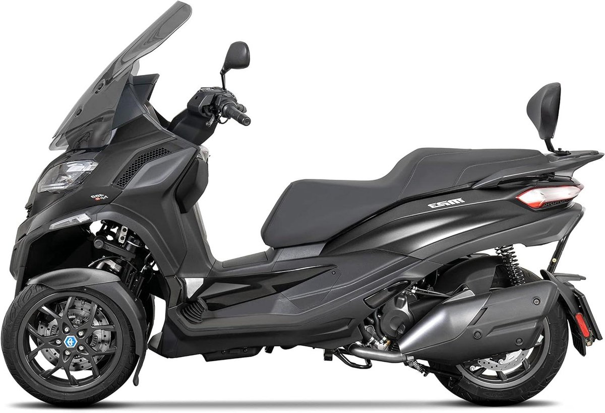 Rugsteun Bevestigingsset - Passagierssteun Motor - Comfort Passagier - Gemaakt in Barcelona - Taille Unique - Zwart